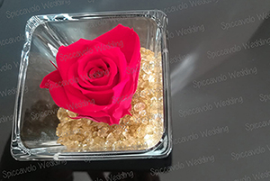 rosa stabilizzata
