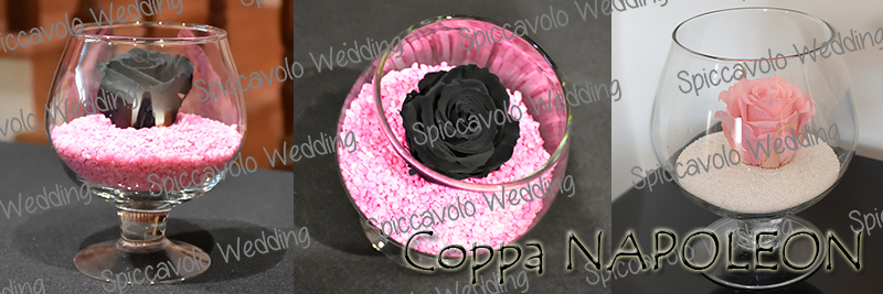 rosa stabilizzata Napoleon Spiccavolo