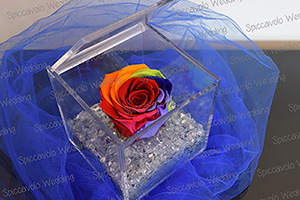 rose stabilizzate multicolor