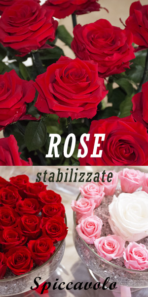 Rose stabilizzate